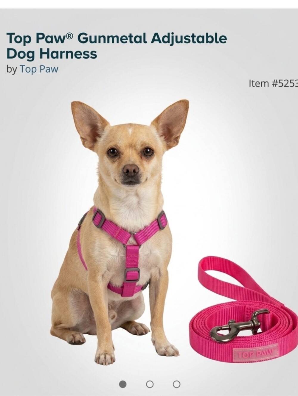 Dog's leash and harness